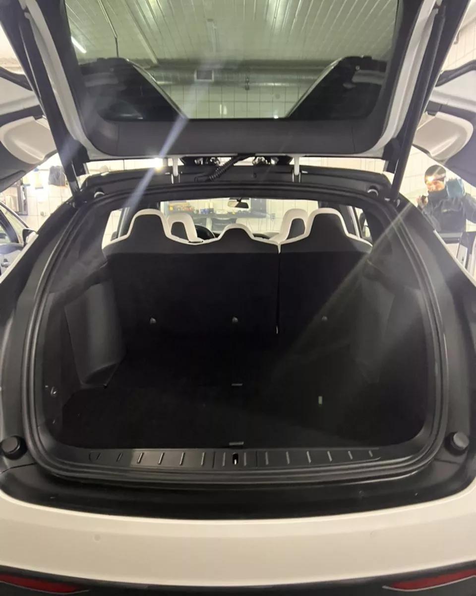 Tesla Model X  100 kWh 2019151