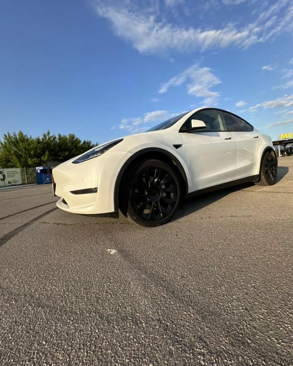 Tesla Model Y  202081