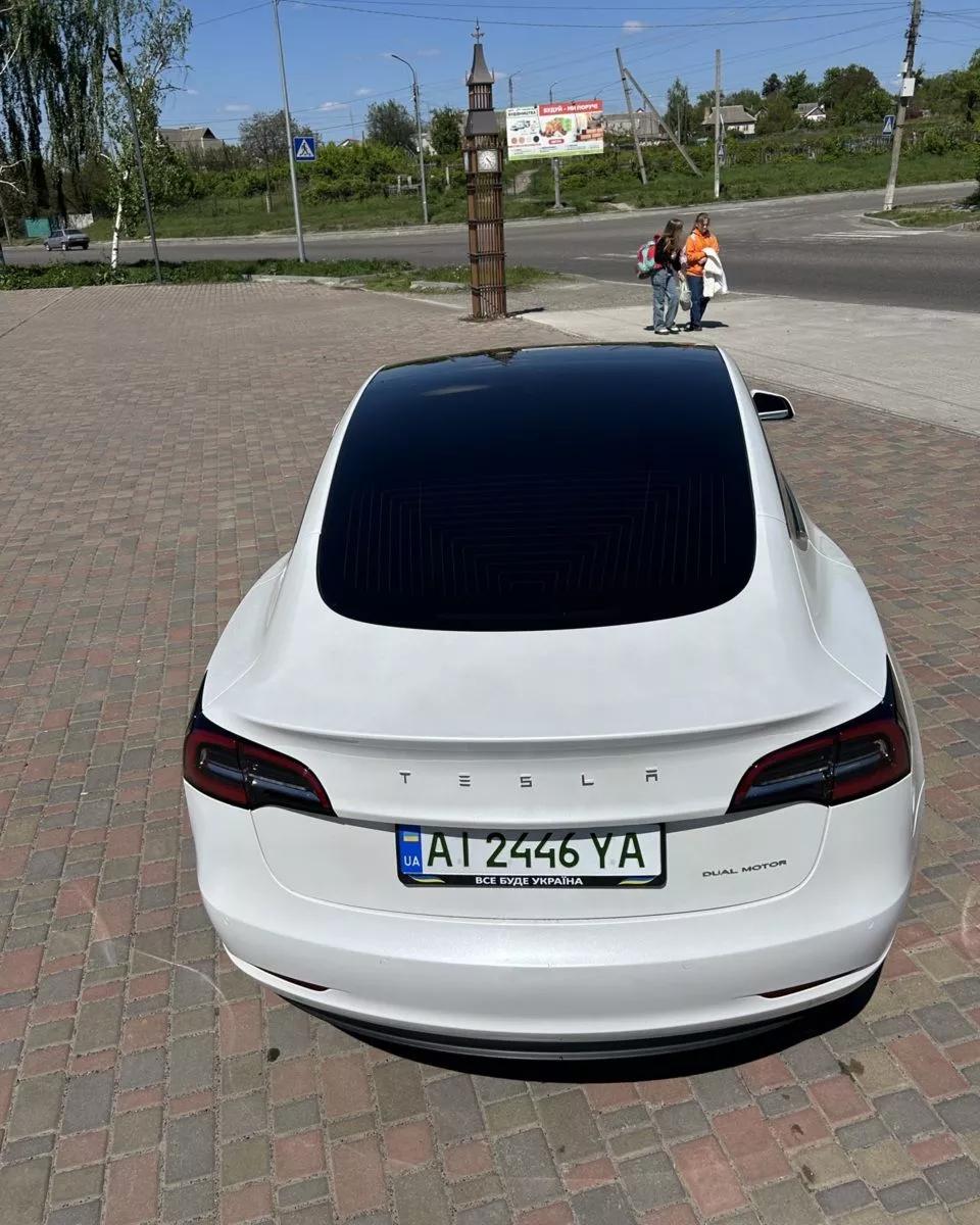 Tesla Model 3  75 kWh 2019231