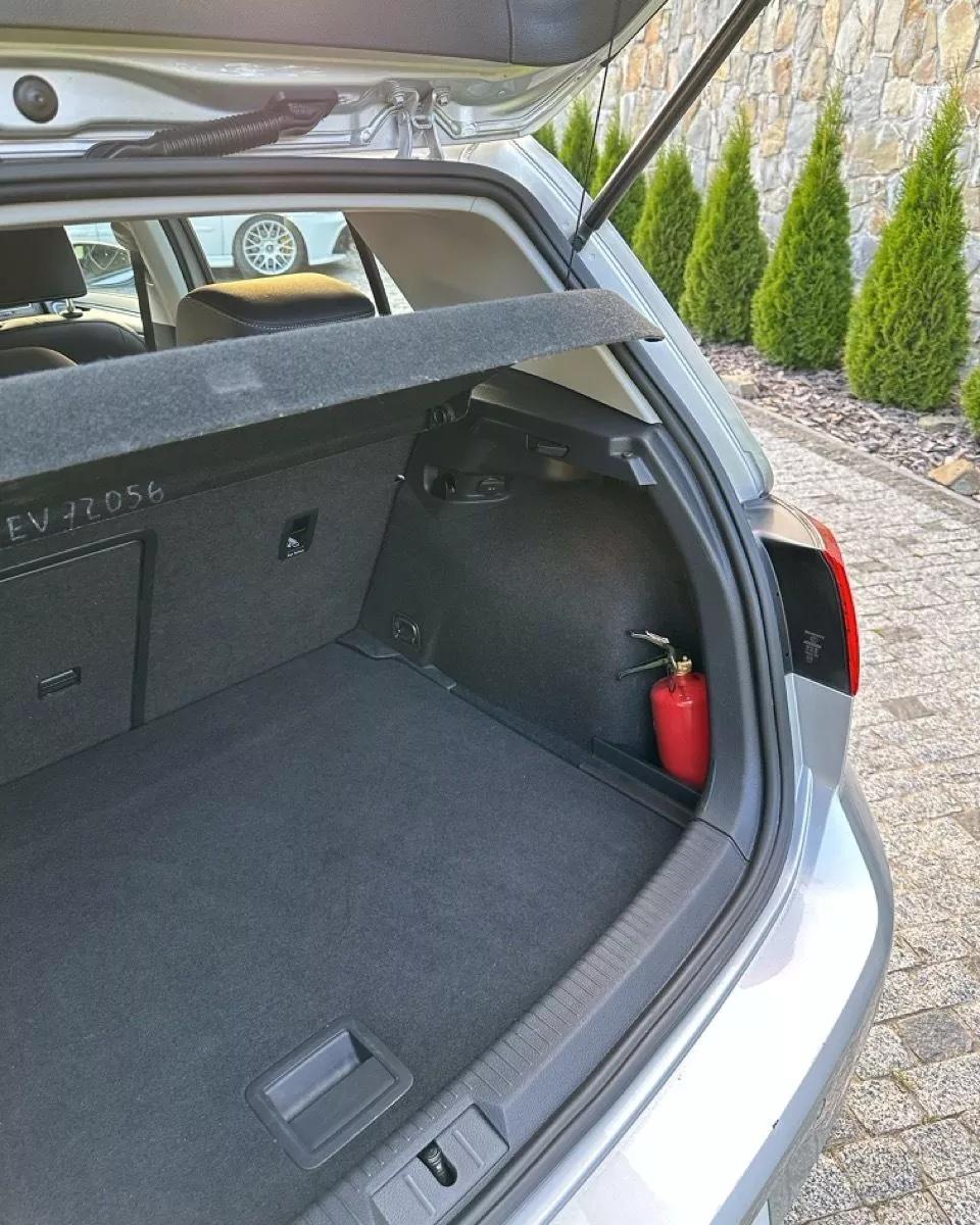 Volkswagen e-Golf  35.8 kWh 2019171