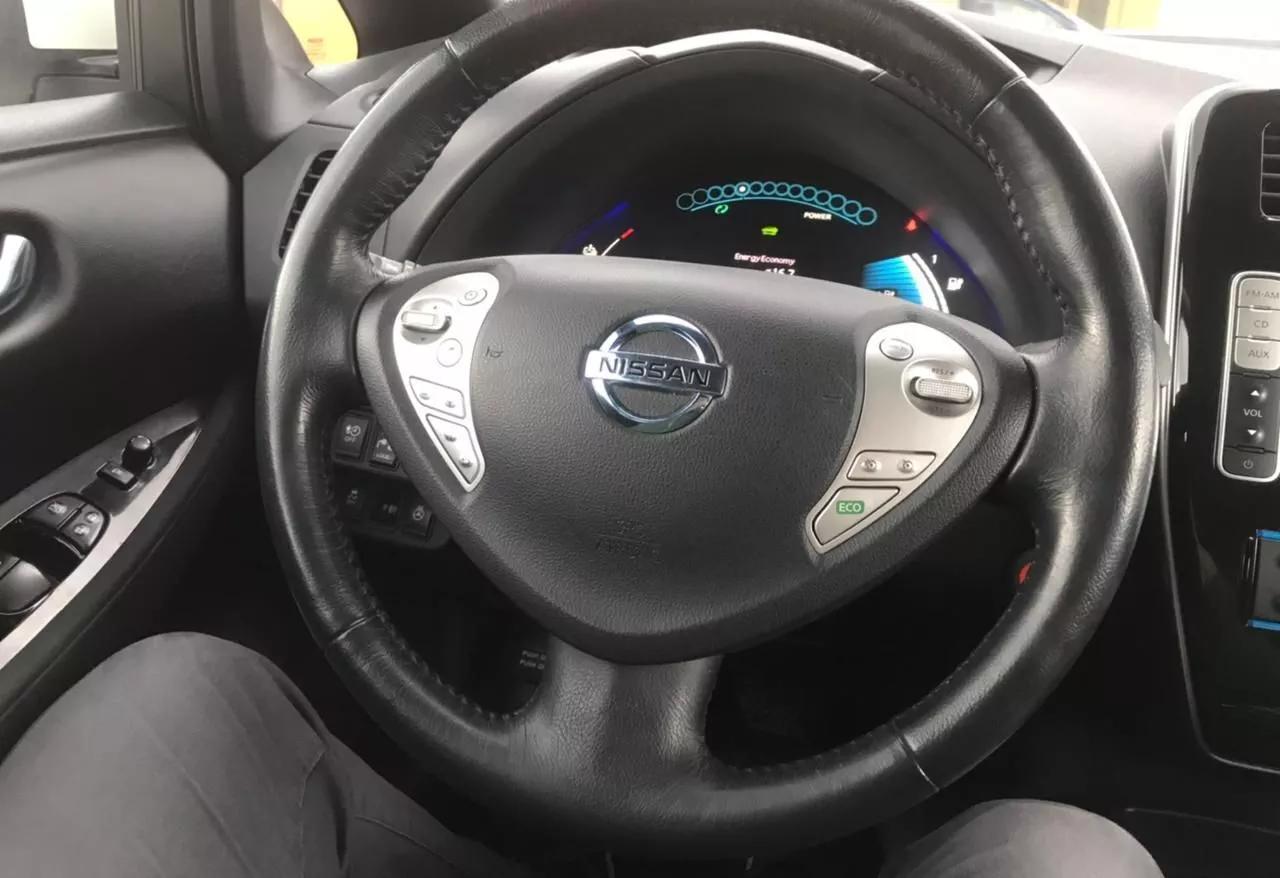 Nissan Leaf  2014161