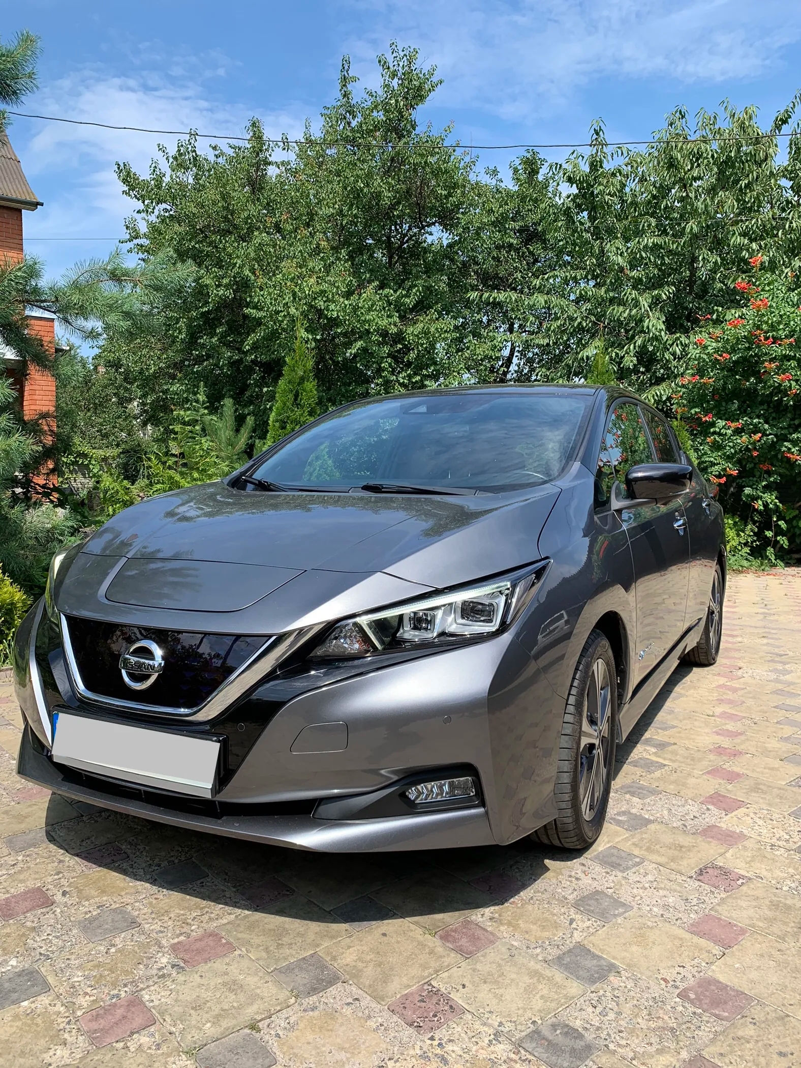 Nissan Leaf Tekna 201961